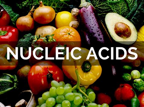 Nucleic acids are naturally occurring chemical compounds that serve as the primary information-carrying molecules in cells. They play an especially important role in directing protein synthesis. The two main classes of nucleic acids are deoxyribonucleic acid (DNA) and ribonucleic acid (RNA). What foods have nucleic acids?